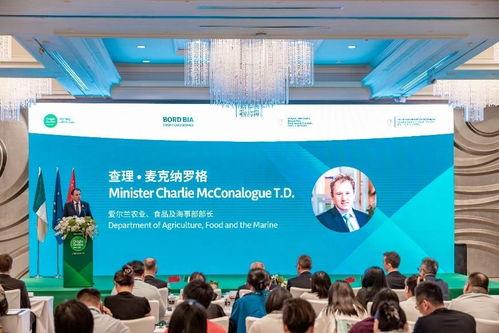 衡水新闻网公共关系策划 构建城市形象与公众信任的桥梁