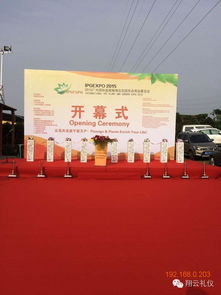 广州礼仪策划公司选择指南 推荐优质公司及其价格解析